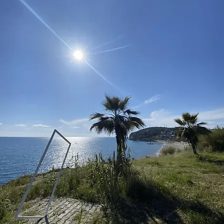 Otel Zbb Stylish & Alanya