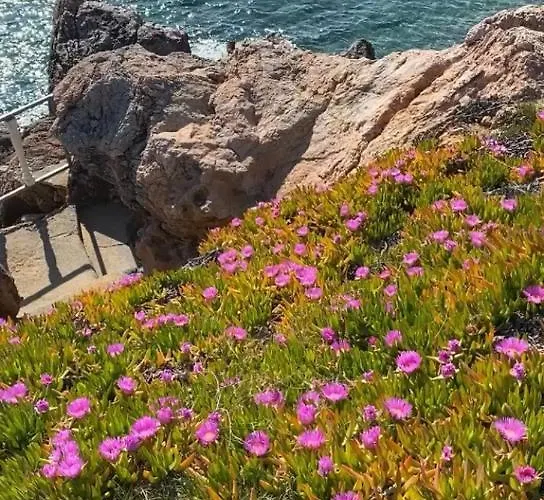 Otel Zbb Stylish & Alanya