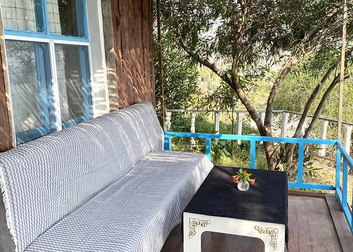 Zbb Stylish & Alanya