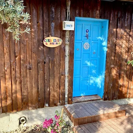 Zbb Stylish & 4* Алания