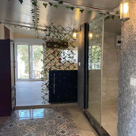 Отель Zbb Stylish & Алания