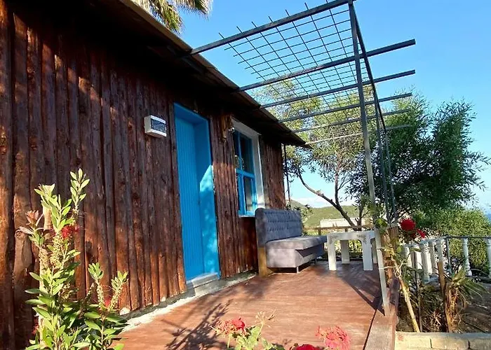 Hotel Zbb Stylish & Alanya