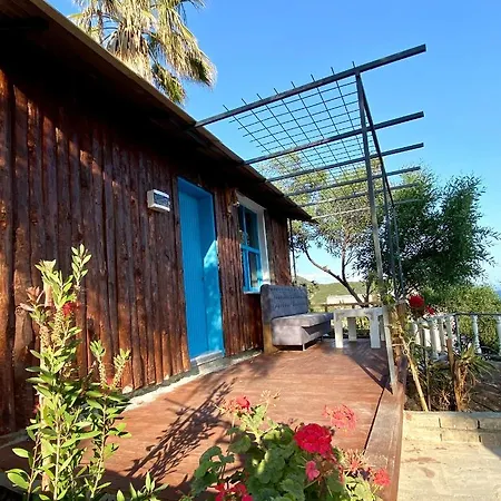 Szálloda Zbb Stylish & Alanya