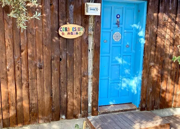 Zbb Stylish & 4* Аланія