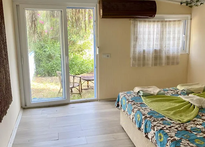 Zbb Stylish & Аланія